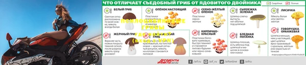 первитин Дмитров