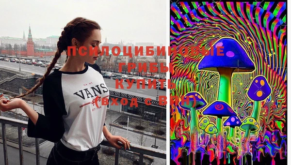 гидра Дмитровск
