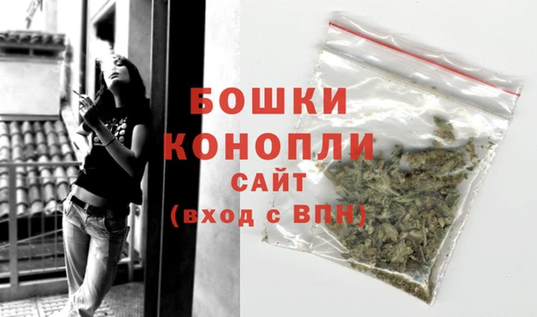 гидра Дмитровск
