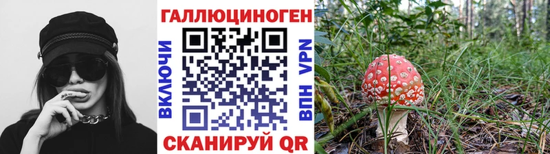 Галлюциногенные грибы Psilocybine cubensis OMG ссылки Елизово купить наркотики сайты
